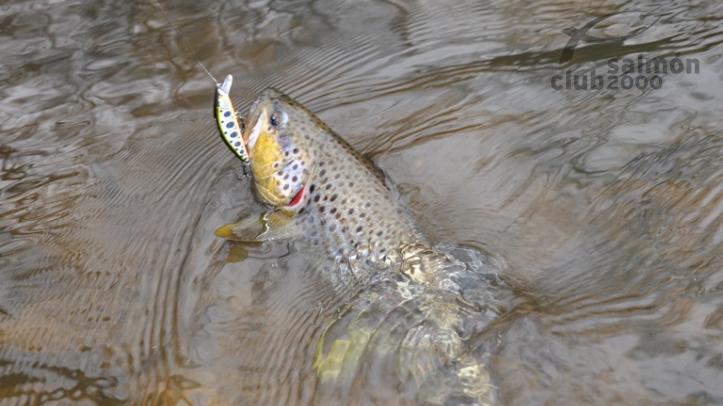 Pesca en Lituania