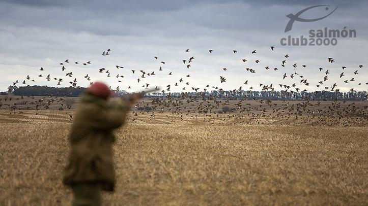 Caza de perdices, palomas y patos en Estancia San Juan, Provincia de Paysandú, Uruguay.
