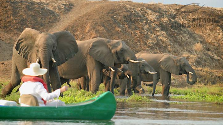 Safari por el Parque Nacional Lower Zambezi. Royal Zambezi Lodge.