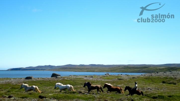 Montando a Caballo