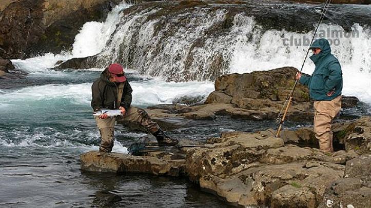 Pesca en Río Laxa in Kjos