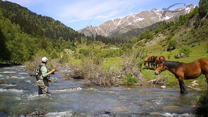 Río de alta montaña
