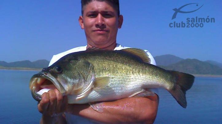 Guía en Bacurato con captura