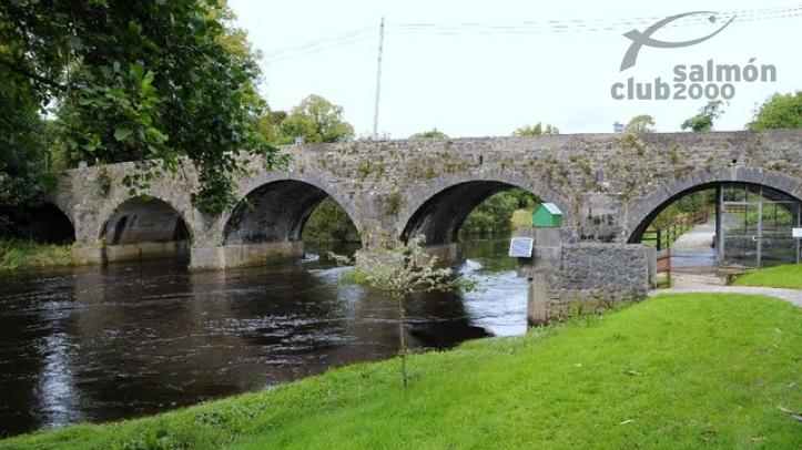 Pesca en Irlanda