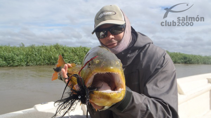 Dorado Cua Lodge
