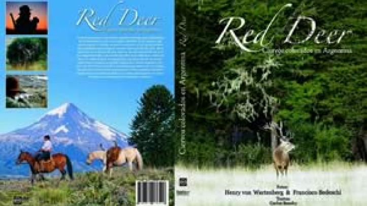 Libro