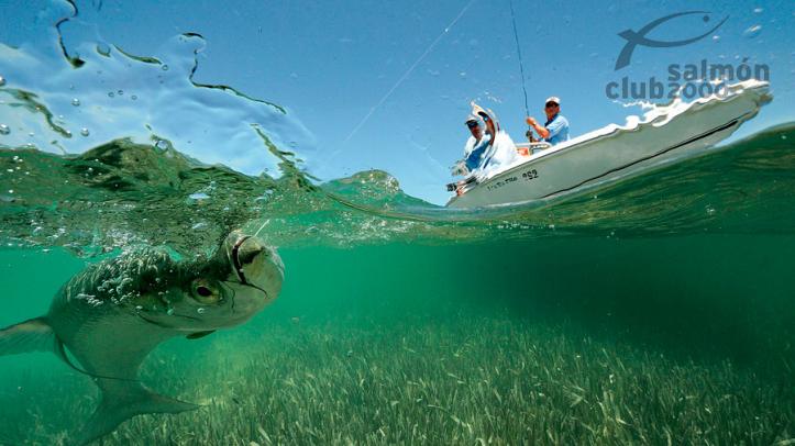 Pesca desde la barca
