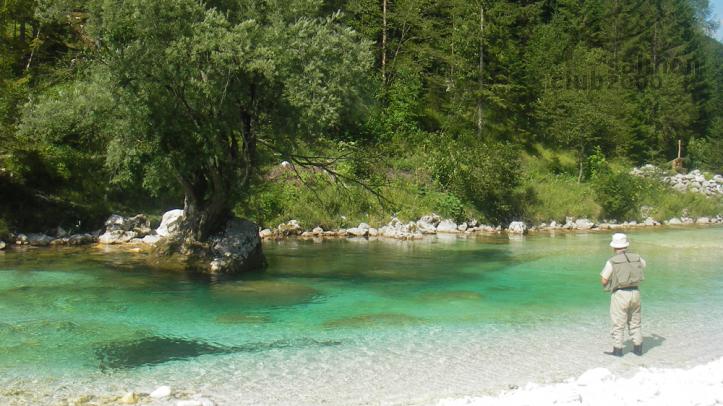 Aguas cristalinas