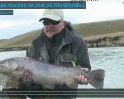 Portada del vídeo "Las enormes truchas de mar de Río Grande"