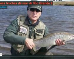Portada del vídeo "Las enormes truchas de mar de Río Grande"