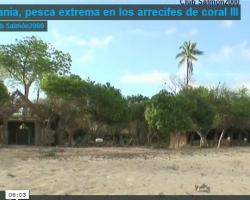 Portada del vídeo "Tanzania, pesca extrema en los arrecifes de coral"