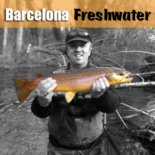 Barcelona Freshwater.jpg