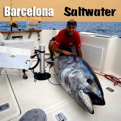 Barcelona Saltwater.jpg
