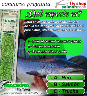 Hilos Madeira Metallic 08.jpg