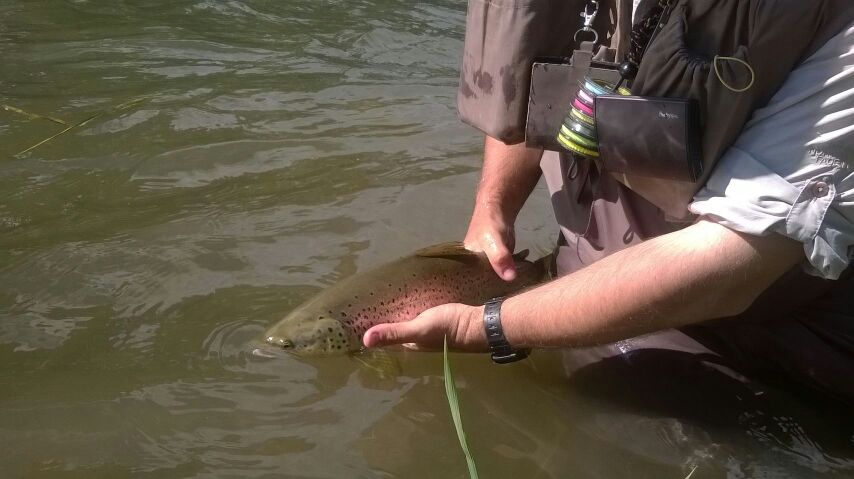 IMG-20140716-WA0001.jpg