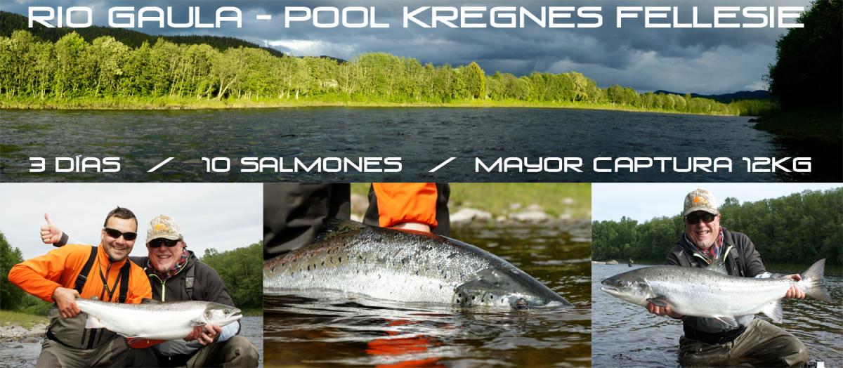 Kregnes_banner_2015.jpg