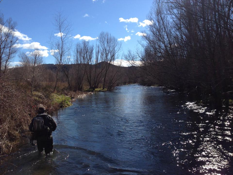 Río Segre en Alòs de Balaguer