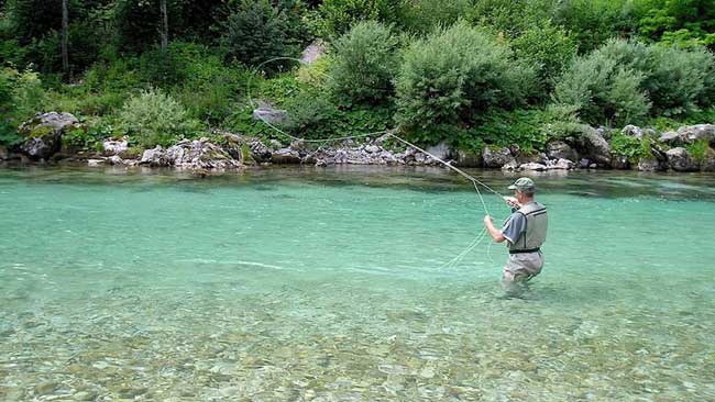 Pesca captura y devolución