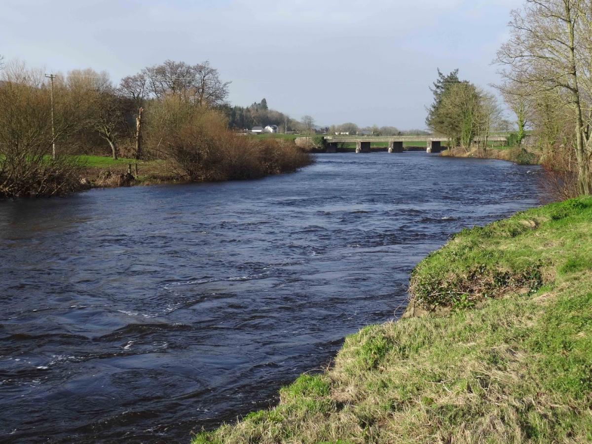 flyfishing-Irlanda-03.jpg