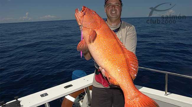 madagascar-06.jpg