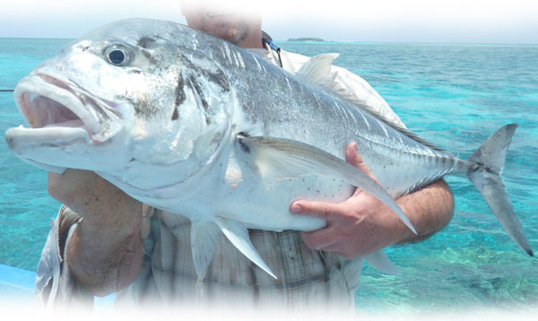 maldivas-pesca-05.jpg