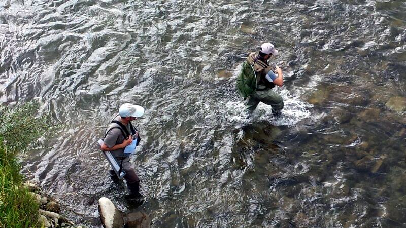 pesca competicion 02.jpg