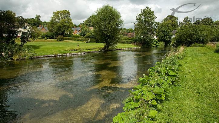 pesca-inglaterra-03.jpg